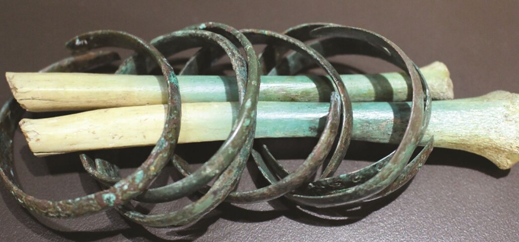 Forskerne fant blant annet en avkappet arm som fortsatt hadde armbånd av metall rundt seg. Forskerne fant blant annet en avkappet arm som fortsatt hadde armbånd av metall rundt seg.