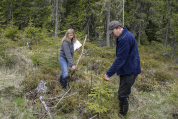 Skogstatistikken er basert på data som er innsamlet i felt av trenede inventører. (Foto: John Y. Larsson / Skog og landskap) Skogstatistikken er basert på data som er innsamlet i felt av trenede inventører. (Foto: John Y. Larsson / Skog og landskap)