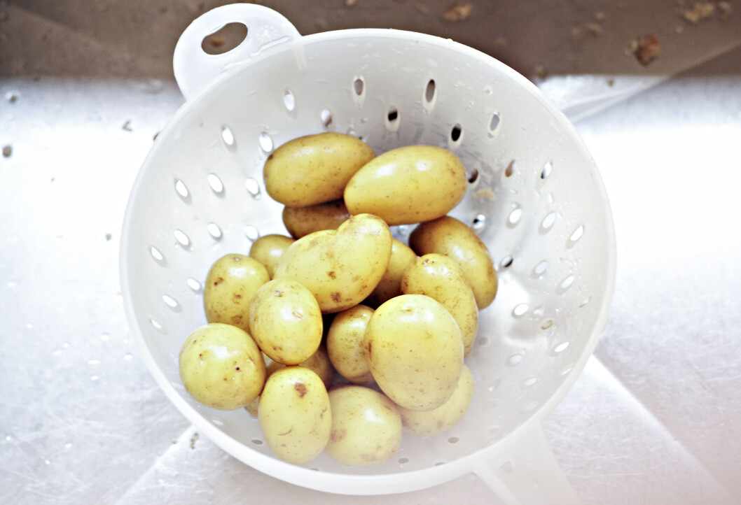 Poteten har en viktig rolle som moderat karbohydratkilde. I tillegg inneholder poteter mange andre viktige næringsstoffer som, kalium, vitamin C, kostfibre og folat. (Foto: Jon-Are Berg-Jacobsen) Poteten har en viktig rolle som moderat karbohydratkilde. I tillegg inneholder poteter mange andre viktige næringsstoffer som, kalium, vitamin C, kostfibre og folat. (Foto: Jon-Are Berg-Jacobsen)