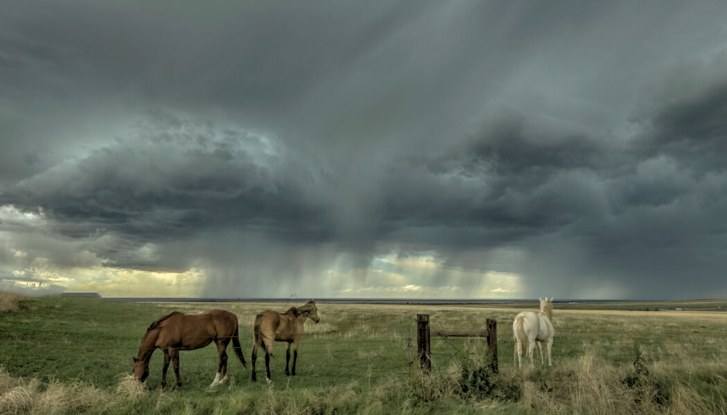Storm i horisonten. Storm i horisonten.