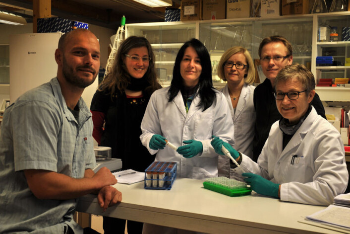 Her er de norske bjørnegenforskerne ved Bioforsk Svanhovd. Fra venstre; Leder Snorre N. Hagen, stipendiat Julia Schregel, laboratorieleder Camilla Tobiassen, laborant Ingrid Helle Danielsen, forsker Oddmund Kleven og avdelingsingeniør Beate Banken Bakke. Her er de norske bjørnegenforskerne ved Bioforsk Svanhovd. Fra venstre; Leder Snorre N. Hagen, stipendiat Julia Schregel, laboratorieleder Camilla Tobiassen, laborant Ingrid Helle Danielsen, forsker Oddmund Kleven og avdelingsingeniør Beate Banken Bakke.