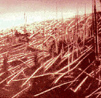 "Dette fotografiet ble tatt i Tunguska-området av den første ekspedisjonen dit i 1927, nesten tjue år etter meteorid-eksplosjonen." "Dette fotografiet ble tatt i Tunguska-området av den første ekspedisjonen dit i 1927, nesten tjue år etter meteorid-eksplosjonen."