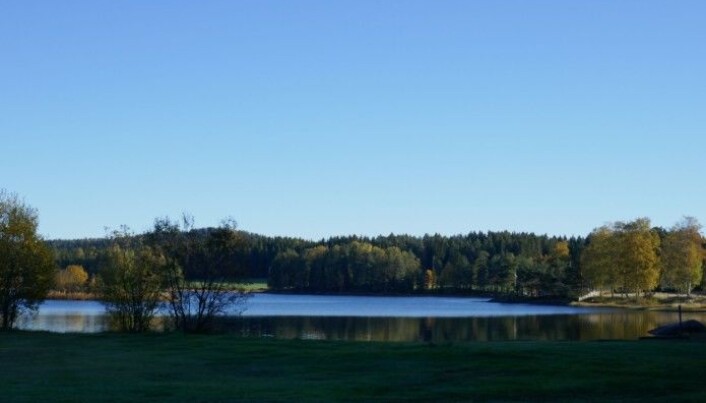 Lundebyvann, Indre Østfold, where Camilla Hagman has done parts of her research. Lundebyvann, Indre Østfold, where Camilla Hagman has done parts of her research.