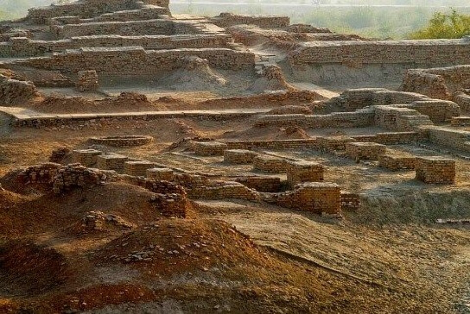 Byen Mohenjo Daro ble bygget rundt 2600 f.Kr., forlatt 1800 f.Kr. og funnet igjen i 1922. Byen hadde om lag 70 000 innbyggere i sin storhetstid. (Foto: Flickr/Benny Lin)