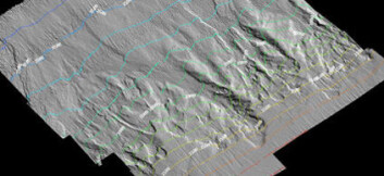Multistråledata viser skredgroper i nedre del av kontinentalskråningen. (Illustrasjon: NGU) Multistråledata viser skredgroper i nedre del av kontinentalskråningen. (Illustrasjon: NGU)