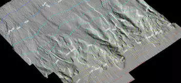 Multistråledata viser skredgroper i nedre del av kontinentalskråningen. (Illustrasjon: NGU)