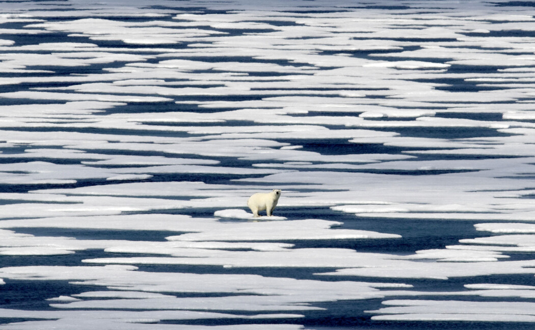 Isen i Arktis krympet til sitt nest laveste omfang i september – under fire millioner kvadratkilometer. Isen i Arktis krympet til sitt nest laveste omfang i september – under fire millioner kvadratkilometer.