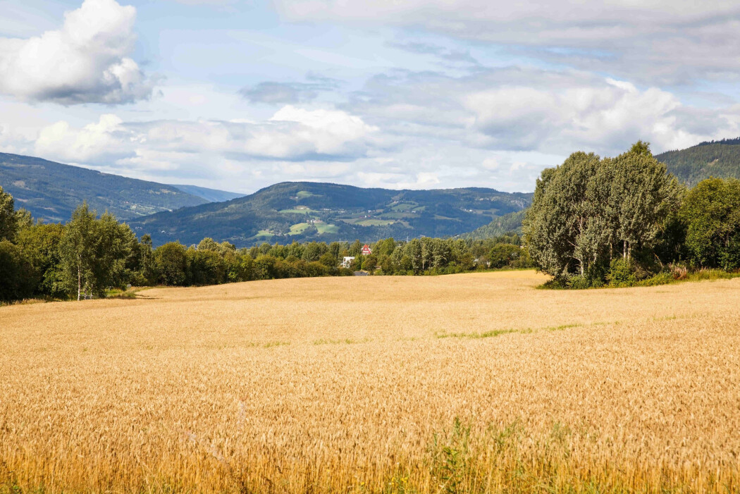 Den dominerende årsaken til økningen av lystgass (N2O) i atmosfæren er utslipp knyttet til landbruk. Den dominerende årsaken til økningen av lystgass (N2O) i atmosfæren er utslipp knyttet til landbruk.