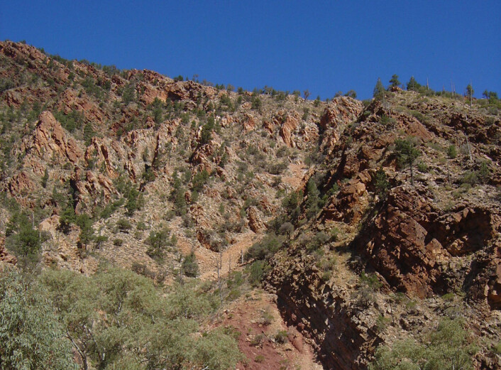 Rød kvartsitt, omdannet sandstein i Brachina Gorge i Syd-Australia kan være rester av jord som ble dannet i Ediacara for over 540 millioner år siden. I så fall vil fossilene her ha levd på land, ikke i vann som hittil antatt. (Foto: G. Retallack) Rød kvartsitt, omdannet sandstein i Brachina Gorge i Syd-Australia kan være rester av jord som ble dannet i Ediacara for over 540 millioner år siden. I så fall vil fossilene her ha levd på land, ikke i vann som hittil antatt. (Foto: G. Retallack)