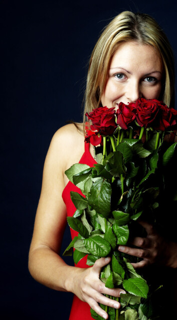 (Foto: Colourbox.no) (Foto: Colourbox.no)