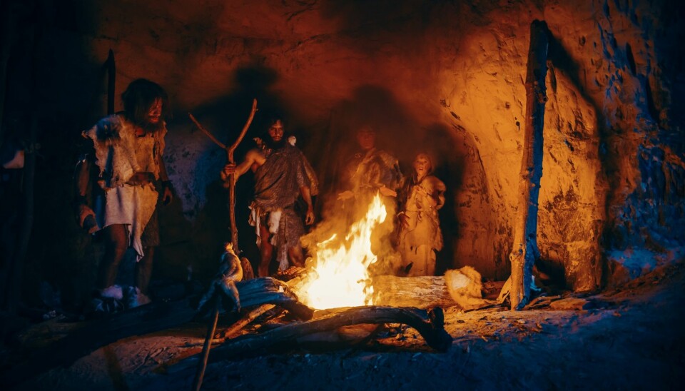 Bål i grotte. I en grotte i Israel ble det funnet redskaper som ser ut til å ha blitt varmebehandlet da de ble laget.