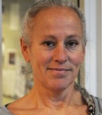 - Det er gledelig at flere av dem som får hjerneslag får øyeblikkelig sykehushjelp, men det er stor variasjon når det gjelder oppfølgingen pasientene får videre, sier førsteamanuensis Birgitta Langhammer ved Høgskolen i Oslo og Akershus. (Foto: Høgskolen i Oslo og Akershus) - Det er gledelig at flere av dem som får hjerneslag får øyeblikkelig sykehushjelp, men det er stor variasjon når det gjelder oppfølgingen pasientene får videre, sier førsteamanuensis Birgitta Langhammer ved Høgskolen i Oslo og Akershus. (Foto: Høgskolen i Oslo og Akershus)