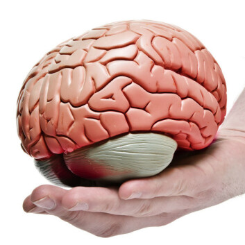– Mindfulness-treningen kan minne om hjernevask. Men soldatene oppfatter det ikke som noe negativt – tvert imot, forteller Sita Kotnis. – Mindfulness-treningen kan minne om hjernevask. Men soldatene oppfatter det ikke som noe negativt – tvert imot, forteller Sita Kotnis.