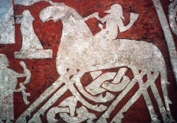 Odin på Sleipner avbildet på en norrøn billedstein fra Gotland. (Foto: (Illustrasjon: Wikimedia Commons)) Odin på Sleipner avbildet på en norrøn billedstein fra Gotland. (Foto: (Illustrasjon: Wikimedia Commons))