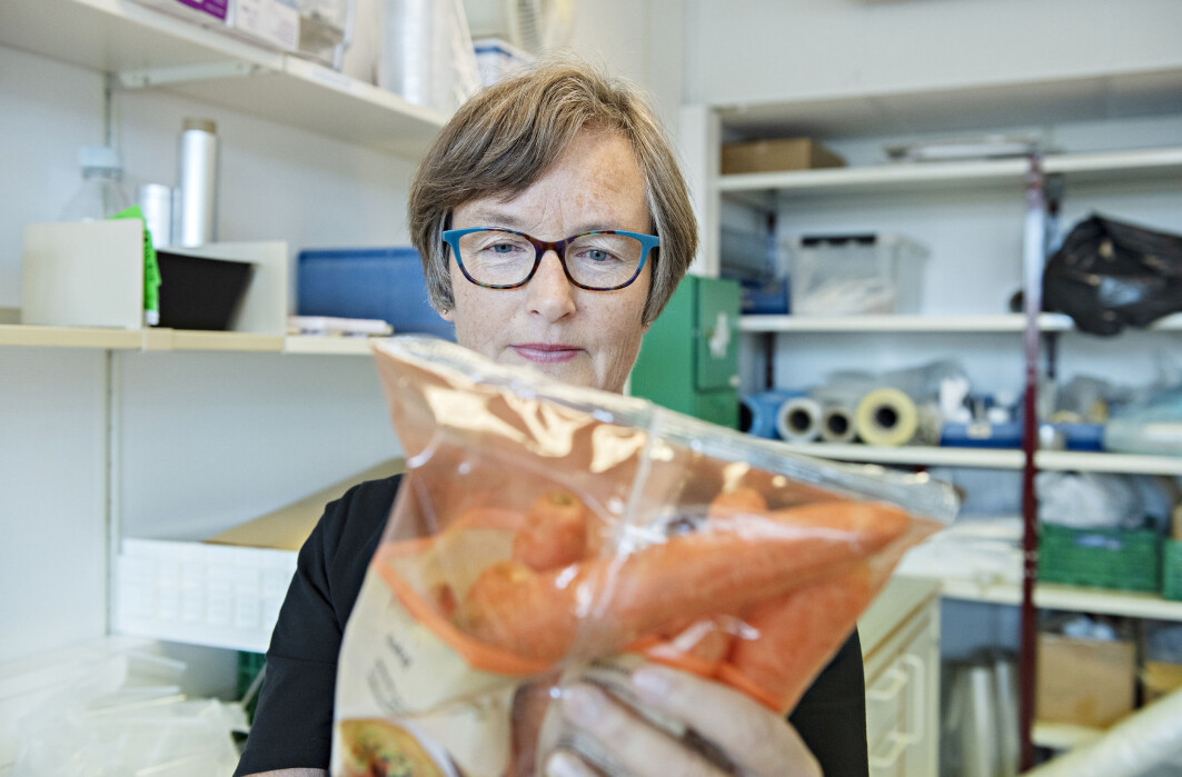 Hanne Larsen has conducted research into how carrot wastage can be reduced, both during distribution and when the product reaches the consumer, by looking at the breathability of packaging and the importance of storage temperature. Hanne Larsen has conducted research into how carrot wastage can be reduced, both during distribution and when the product reaches the consumer, by looking at the breathability of packaging and the importance of storage temperature.