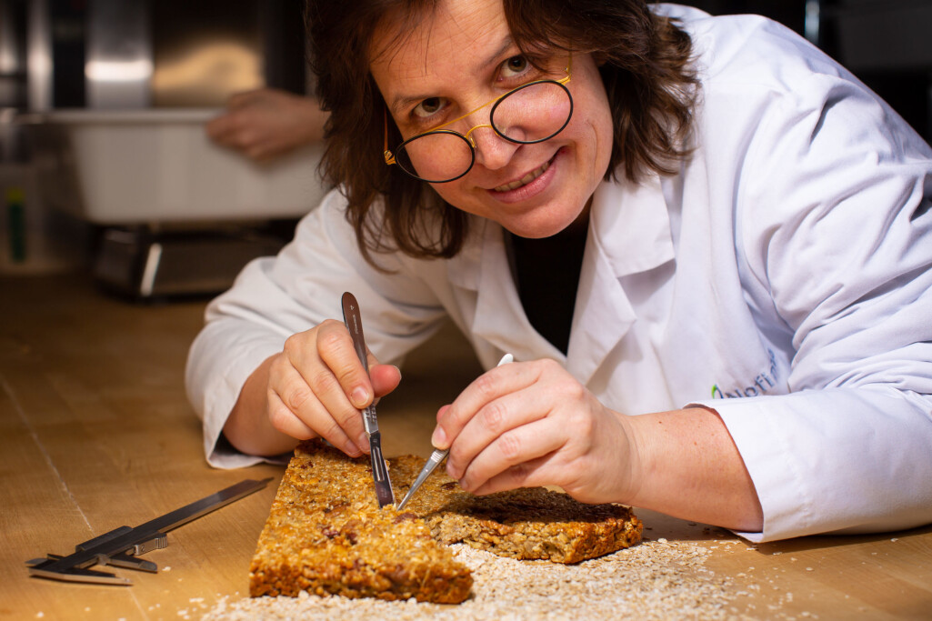 I dag finnes det ikke noen god og fullstendig oversikt over den primære glutenfrie produksjonen i Norge. Kartlegging blir derfor en viktig del av prosjektet til forsker Ann-Katrin Holtekjølen. I dag finnes det ikke noen god og fullstendig oversikt over den primære glutenfrie produksjonen i Norge. Kartlegging blir derfor en viktig del av prosjektet til forsker Ann-Katrin Holtekjølen.