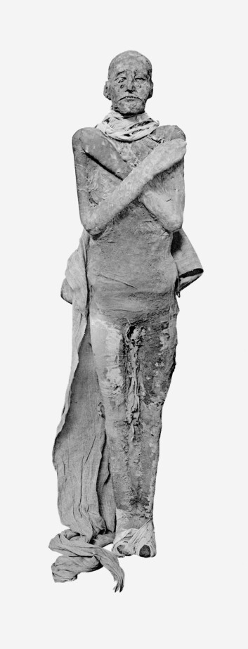Forskerne har undersøkt mumien (til høyre) i et år, og tror de kan avsløre dødsårsaken. (Foto: Wikipedia Commons) Forskerne har undersøkt mumien (til høyre) i et år, og tror de kan avsløre dødsårsaken. (Foto: Wikipedia Commons)