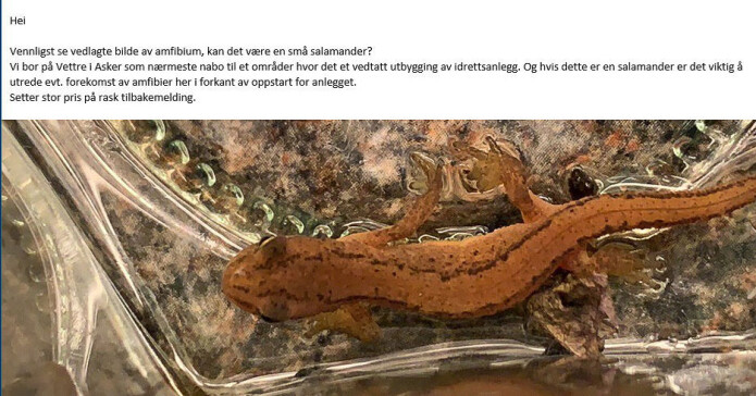 En av e-postene som har kommet i høst. En av e-postene som har kommet i høst.