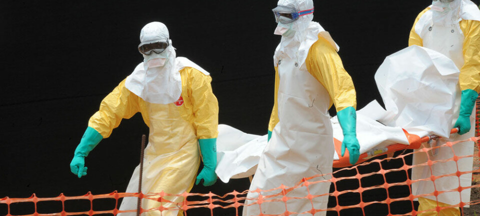 Doktorer fra Leger Uten Grenser bærer liket av en Ebola-rammet i Guekedou i Guinea. AFP