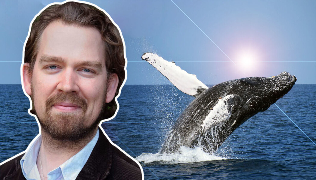 Havet gir oss mye, men det kan også være farlig. Kanskje kan hvalguder hjelpe oss. Havet gir oss mye, men det kan også være farlig. Kanskje kan hvalguder hjelpe oss.