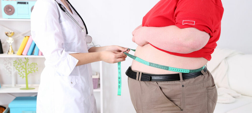Det gir likevel ikke helsefordeler ved å være overvektig. Danske forskere har nettopp vist at det såkalte fedmeparadokset slett ikke eksisterer. Microstock