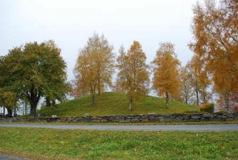 Gravhaugen på Alstadhaug i Levanger – et tradisjonelt, og fredet, kulturminne. (Foto: NIKU)