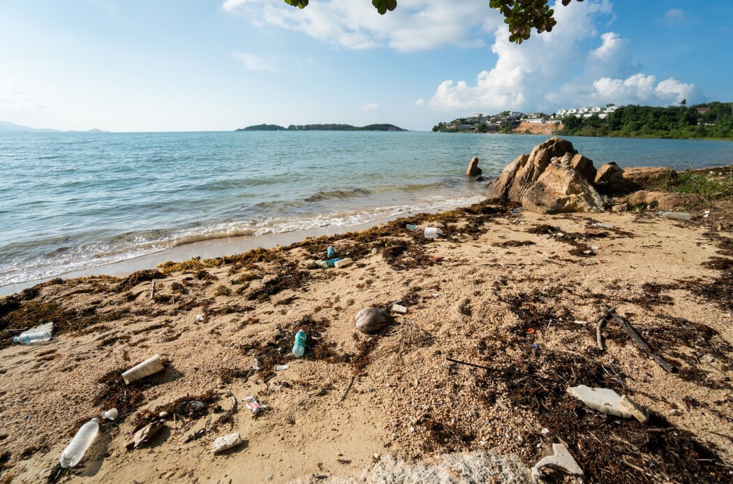 Strengere regler må til for å stoppe plastforurensningen av verdenshavene. Strengere regler må til for å stoppe plastforurensningen av verdenshavene.