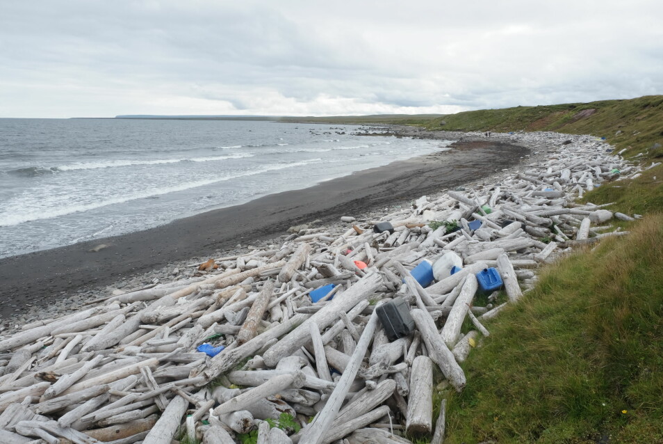 Langs kysten driver både naturmateriale og søppel i land. Er det kulturarv?