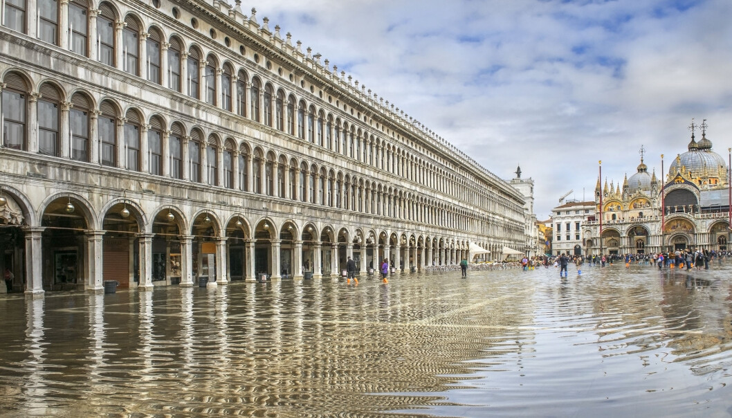 Oversvømmelsen som rammet Venezia for ett år siden var den verste på mer enn 50 år. På det høyeste sto vannet en meter over Markusplassen. Oversvømmelsen som rammet Venezia for ett år siden var den verste på mer enn 50 år. På det høyeste sto vannet en meter over Markusplassen.