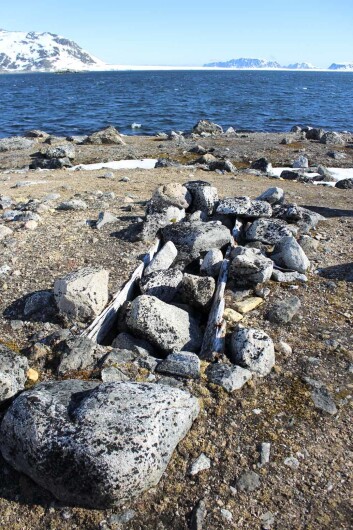 Det finnes rester etter graver på mange steder rundt om på Svalbard. Her en grav fra Virgohamna, ikke langt fra Smeerenburg. (Foto: Linn Sollied Madsen) Det finnes rester etter graver på mange steder rundt om på Svalbard. Her en grav fra Virgohamna, ikke langt fra Smeerenburg. (Foto: Linn Sollied Madsen)