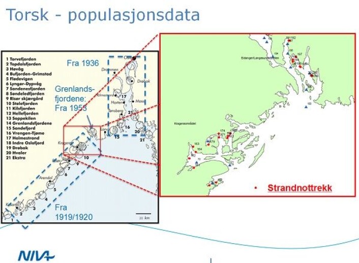 (Foto: (Grafikk: NIVA, Havforskningsinstituttet)) (Foto: (Grafikk: NIVA, Havforskningsinstituttet))