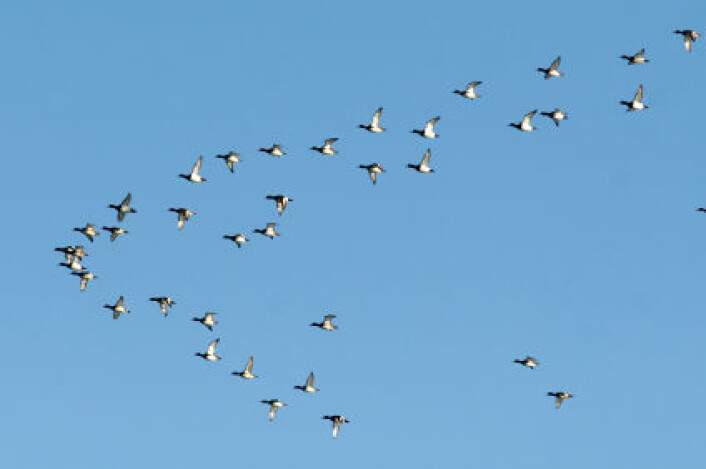 (Foto: iStockphoto) (Foto: iStockphoto)