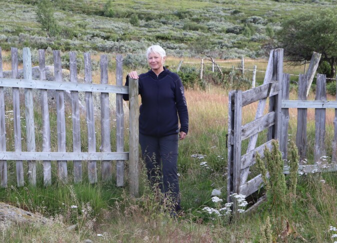 Kari Stensgaard ved den same grinda på Grasvika som er på 1969-bildet over. Tidlegare var areala nedtrakka og opne. No gror dei til med bjørk, furu og vierkratt tett inntil gjerdet. Kari Stensgaard ved den same grinda på Grasvika som er på 1969-bildet over. Tidlegare var areala nedtrakka og opne. No gror dei til med bjørk, furu og vierkratt tett inntil gjerdet.