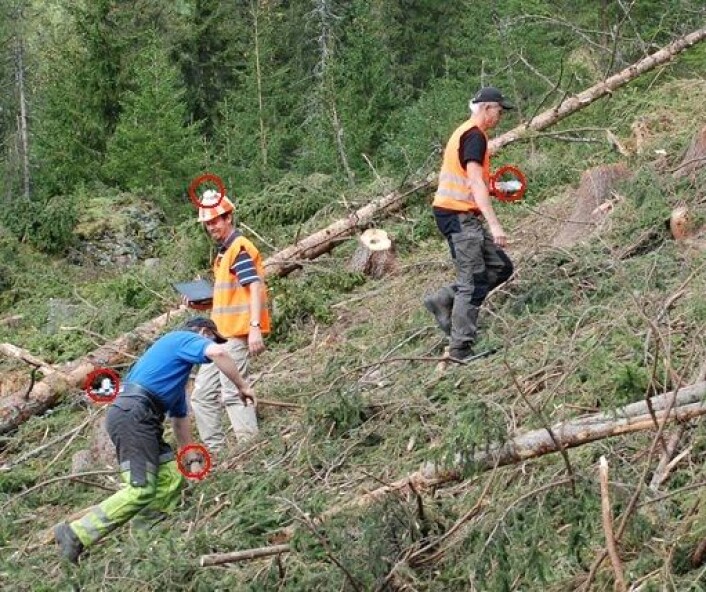 Dette er forskning med levende forsøkspersoner: skogsarbeideren (i blå t-skjorte) prøver ut mens to forskere tar tiden og observerer. (Foto: Morten Nitteberg) Dette er forskning med levende forsøkspersoner: skogsarbeideren (i blå t-skjorte) prøver ut mens to forskere tar tiden og observerer. (Foto: Morten Nitteberg)