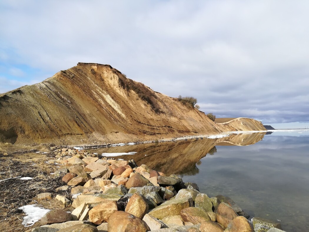 I Fur-formasjonen ved Ejerslev havn på øya Mors har forskere funnet verdens største kalkkrystall. I Fur-formasjonen ved Ejerslev havn på øya Mors har forskere funnet verdens største kalkkrystall.
