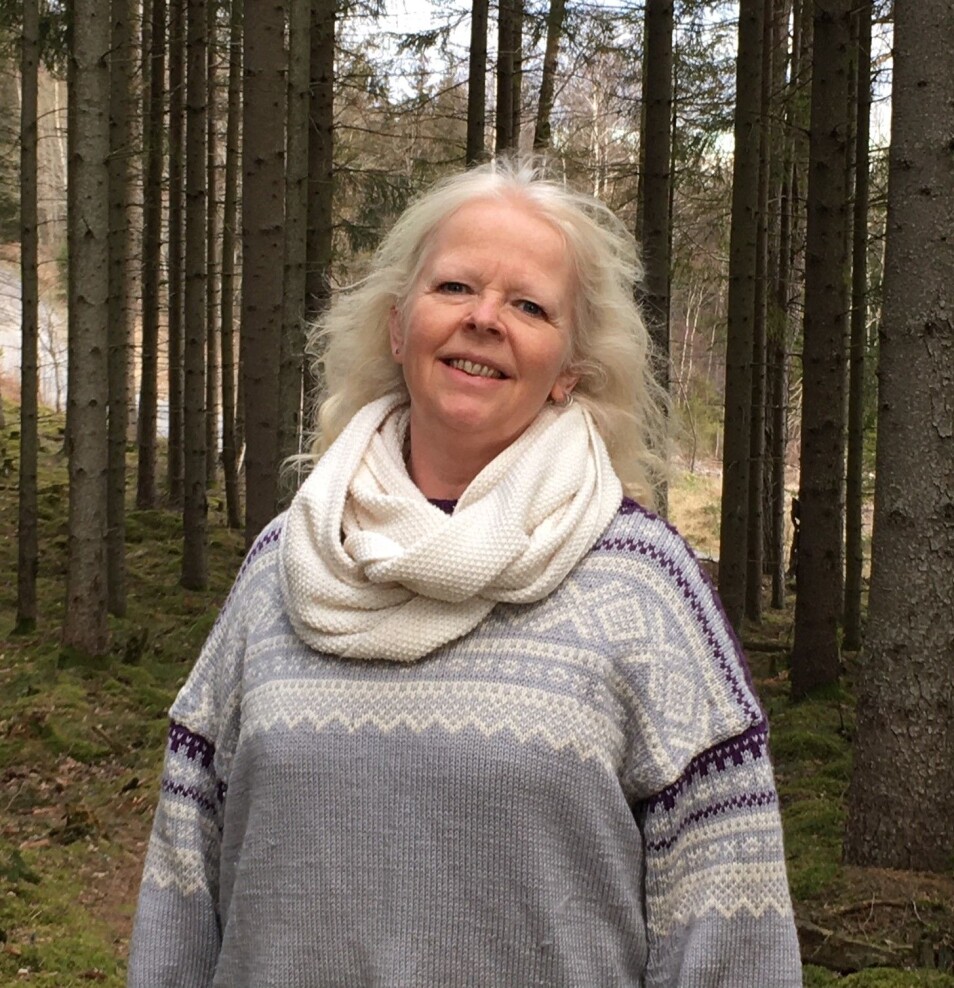 Wenche Dramstad forsker på forvaltning av natur og landskap på Nibio.