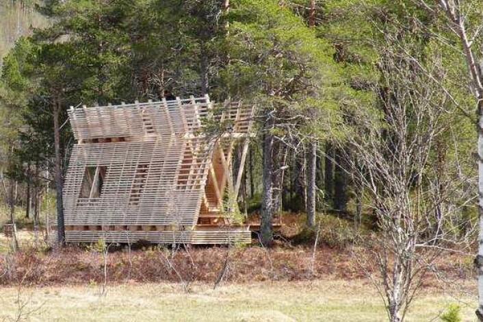 Fugletittertårnet som NTNU-studenter har reist i Rindal er seks meter høyt og tolv meter langt. (Foto: Trollheimsporten) Fugletittertårnet som NTNU-studenter har reist i Rindal er seks meter høyt og tolv meter langt. (Foto: Trollheimsporten)