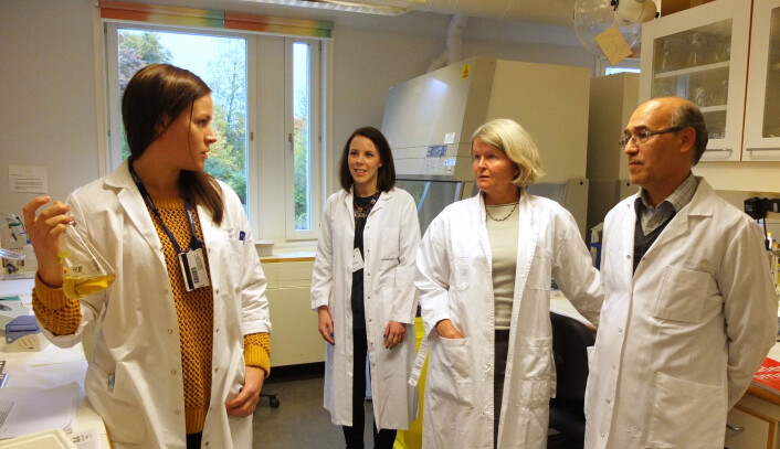 Biofilmgruppa ved Universitetet i Oslo, fra venstre: Ingun Lund Witsø, Gro Herredsvela Rørvik, Anne Aamdal Scheie og Ali-Oddin Naemi. (Foto: Ingrid Spilde) Biofilmgruppa ved Universitetet i Oslo, fra venstre: Ingun Lund Witsø, Gro Herredsvela Rørvik, Anne Aamdal Scheie og Ali-Oddin Naemi. (Foto: Ingrid Spilde)