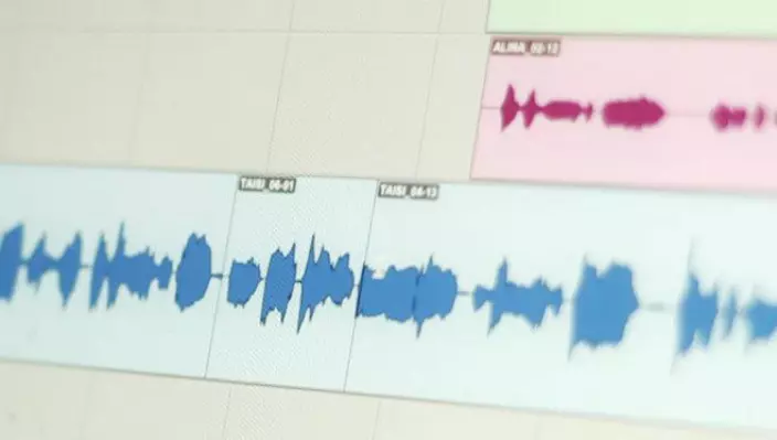 In music production, the producer sees the sound in front of her on the screen and can twist and turn the music by moving how the sounds relate to each other.