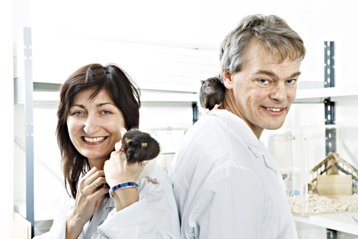 Professorene May-Britt og Edvard Moser, ekteparet som står i spissen for Moserlaboratoriet ved NTNU. (Foto: Geir Mogen/ NTNU) (Foto: Geir Mogen/NTNU) Professorene May-Britt og Edvard Moser, ekteparet som står i spissen for Moserlaboratoriet ved NTNU. (Foto: Geir Mogen/ NTNU) (Foto: Geir Mogen/NTNU)