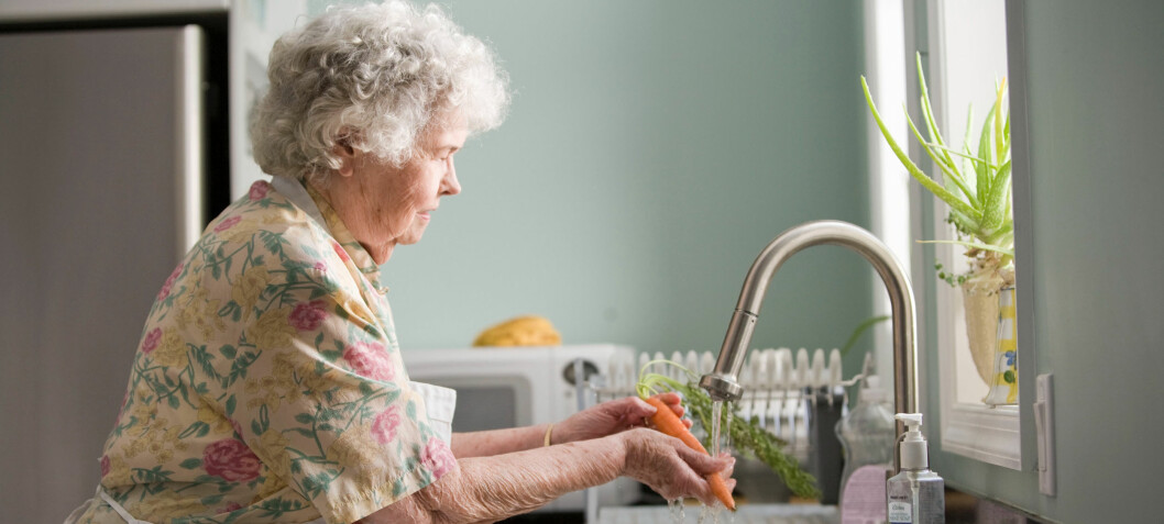 Økt forskningsinnsats på persontilpasset mat til eldre