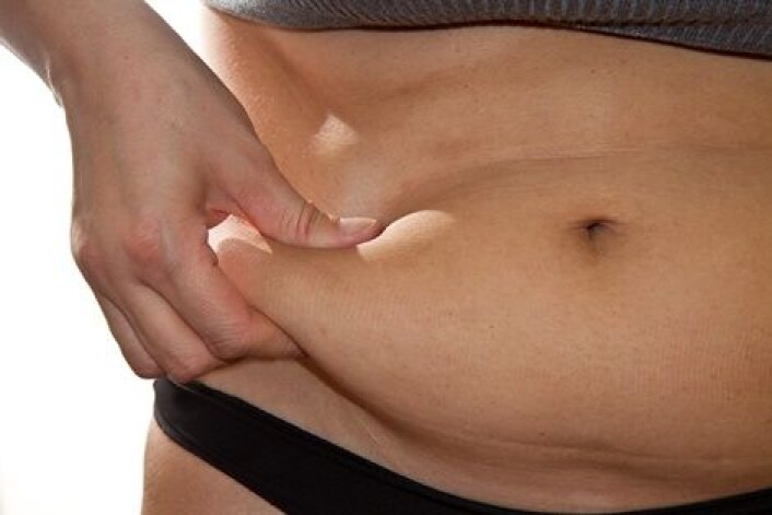 Forsøk på mus viser at periodevis slanking tuller til den biologiske klokka og kan faktisk gjere deg feitare. (Foto: vpardi, Microstock) Forsøk på mus viser at periodevis slanking tuller til den biologiske klokka og kan faktisk gjere deg feitare. (Foto: vpardi, Microstock)