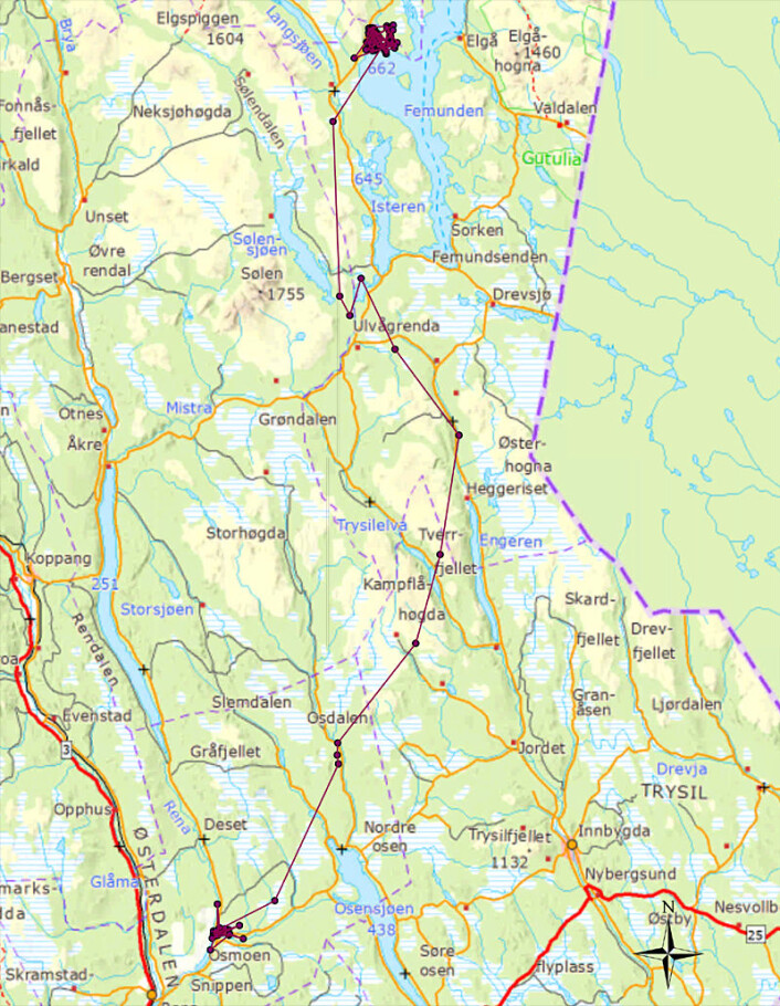Kartet viser revens vandring fra 11. november fram til 14. desember 2011. (Foto: (Figur: Høgskolen i Hedmark)) Kartet viser revens vandring fra 11. november fram til 14. desember 2011. (Foto: (Figur: Høgskolen i Hedmark))