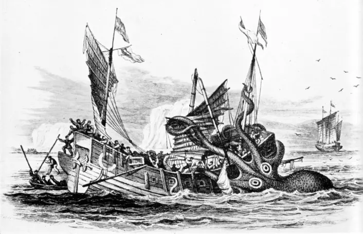Det er ikke observert at kjempeblekkspruter har gått til angrep på mennesker eller båter i moderne tid. (Foto: (Illustrasjon: Pierre Denys de Montfort/Wikimedia Commons))