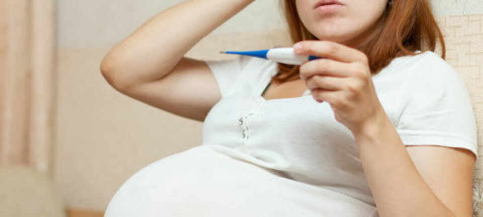 Nesten 30 prosent av gravide kvinner bruker naturmedisiner mot smerter og problemer i svangerskapet, viser denne undersøkelsen. Dette bør helsepersonell være klar over. iStockphoto