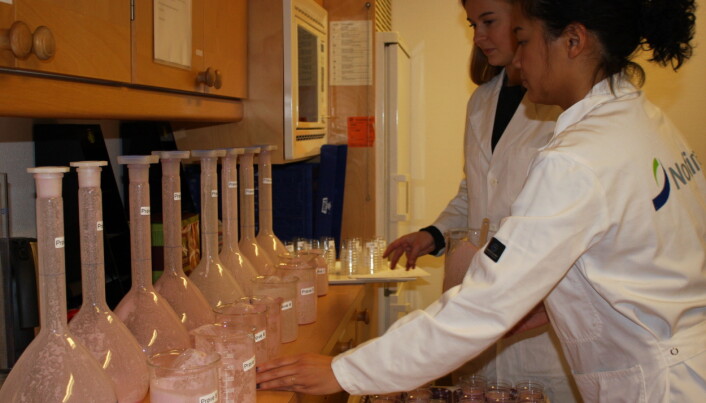 Eight different varieties of raspberry shots were made, with or without whey protein, fibre and varying amounts of berries. After the tests, the researchers compared the results. The raspberry shots were "model products" that were developed during the project, and they are not available on the market today. Eight different varieties of raspberry shots were made, with or without whey protein, fibre and varying amounts of berries. After the tests, the researchers compared the results. The raspberry shots were "model products" that were developed during the project, and they are not available on the market today.