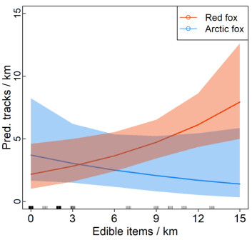 The graph shows that the number of red fox tracks per kilometre (y-axis) increases with the amount of edible waste (x-axis). The graph shows that the number of red fox tracks per kilometre (y-axis) increases with the amount of edible waste (x-axis).
