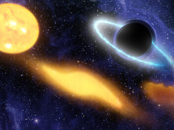 - Levende vesener blir strekt ut som spaghetti på vei mot det sorte hullet, forteller Riiser Kristiansen. (Foto: (Illustrasjon: NASA/JPL-Caltech)) - Levende vesener blir strekt ut som spaghetti på vei mot det sorte hullet, forteller Riiser Kristiansen. (Foto: (Illustrasjon: NASA/JPL-Caltech))