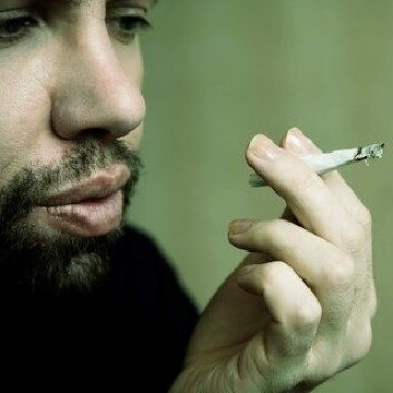 Kroppen produserer selv stoffer som kan gi samme rus som cannabis. (Foto: Colourbox) Kroppen produserer selv stoffer som kan gi samme rus som cannabis. (Foto: Colourbox)