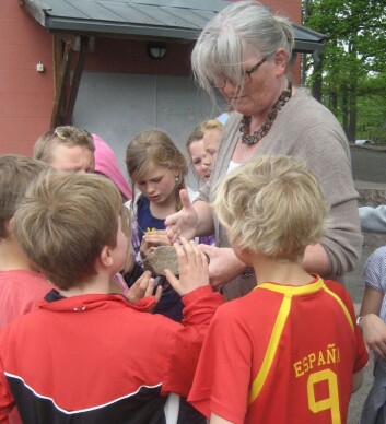 Lærer Anne Cathrine Hammerborg har prøvd ut undervisningsopplegget til Merethe Frøyland på flere klasser ved Berger skole på Nesodden. (Foto: Annette Tingstad) Lærer Anne Cathrine Hammerborg har prøvd ut undervisningsopplegget til Merethe Frøyland på flere klasser ved Berger skole på Nesodden. (Foto: Annette Tingstad)